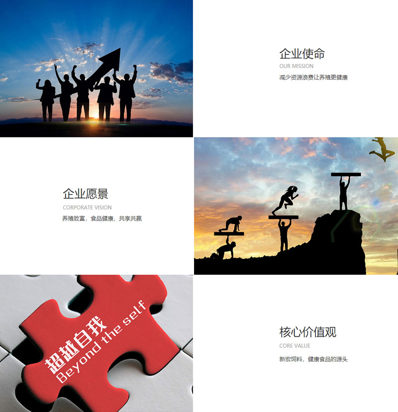 澳门49码图库